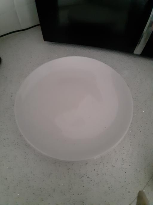  — dinner plate