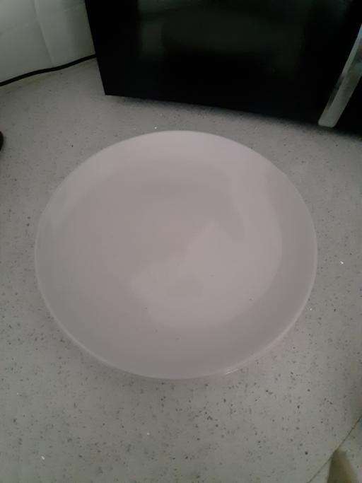  — dinner plate
