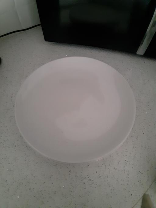  — dinner plate