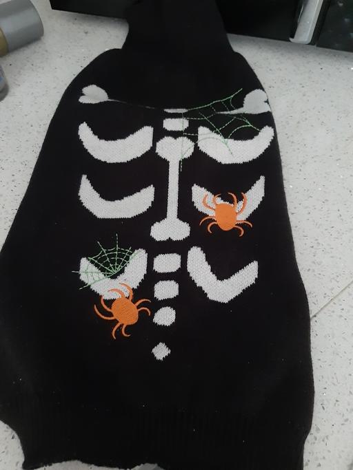  — dog halloween jumper M