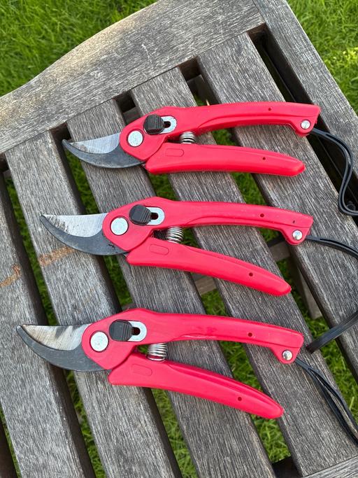  — Secateurs
