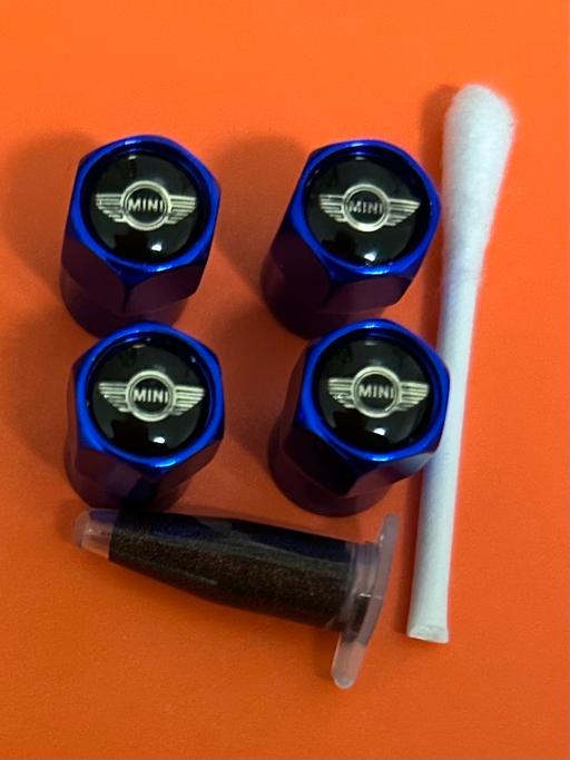  — Mini Tyre valve caps with grease