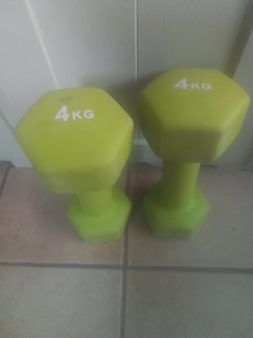  — ONE PAIR OF 4KG WEIGHTS