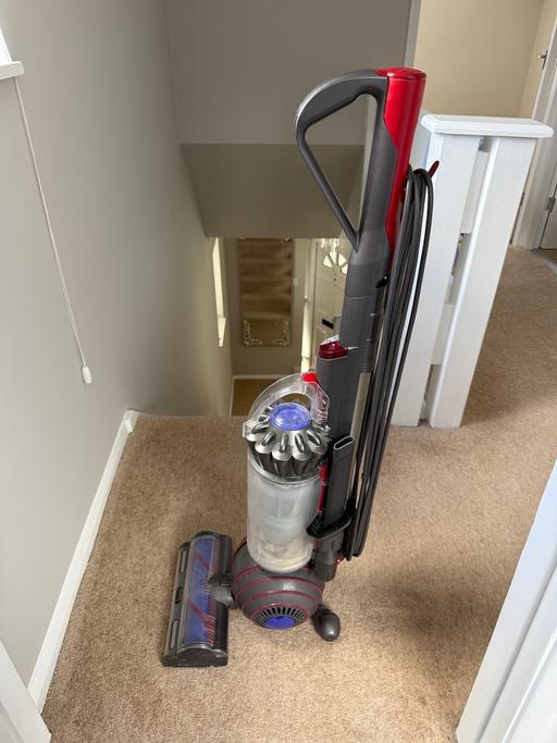  — Dyson animal pack