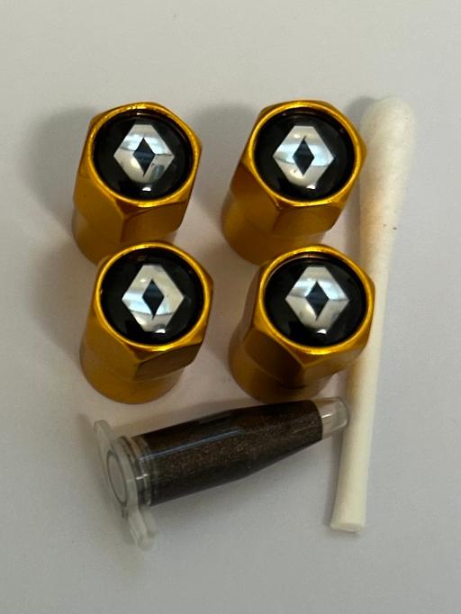  — Renault Tyre valve Caps with grease