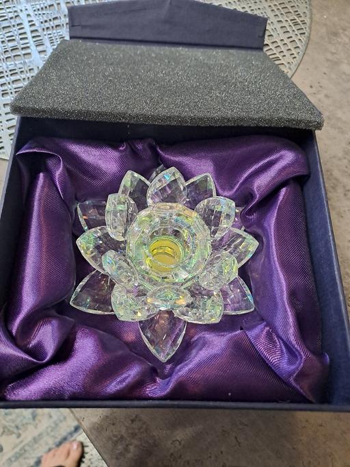  — new in box lotus 🪷 flower