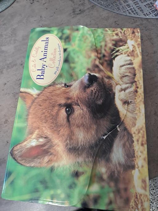  — animal cards