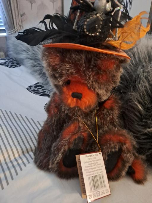 — pumkin pie Charlie bear collectable