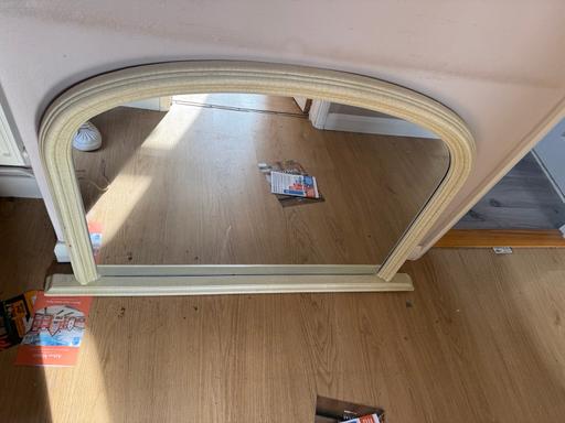  — Vintage mirror snake frame effect