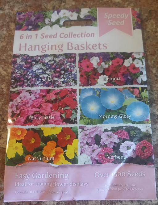  — Seeds )