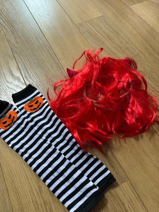  — Halloween wig and arm or leg warmers