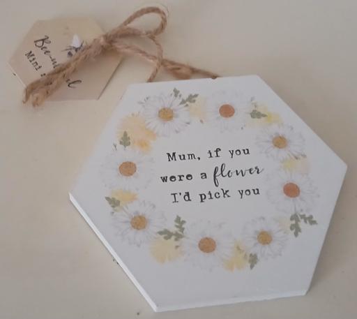  — plaque)