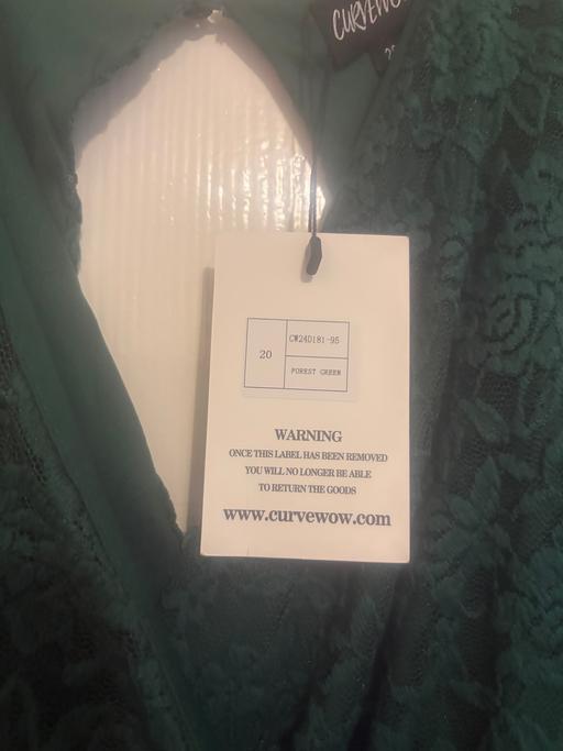  — Curve wow dress bnwt