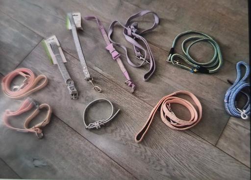  — selection of dog leads