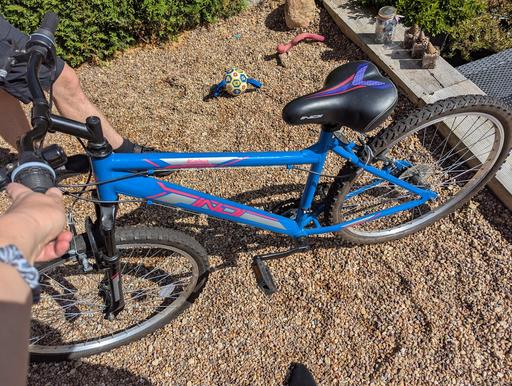 — 18 inch girls bike