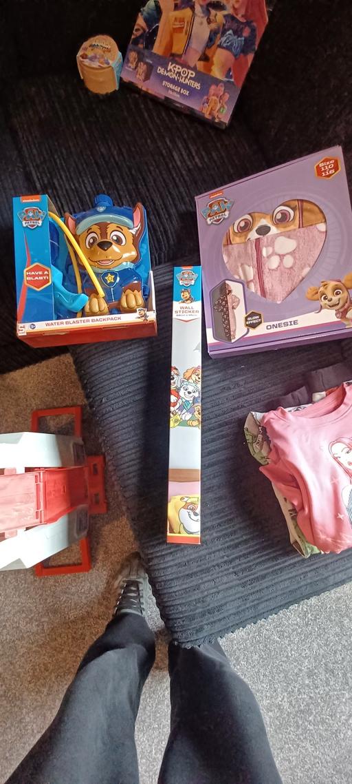  — paw patrol items
