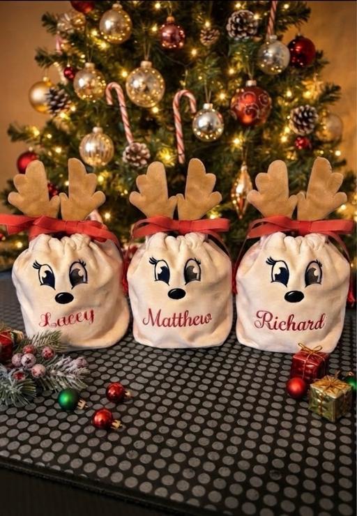  — Personalised reindeer gift bag