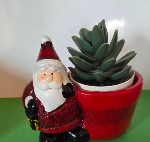  — SANTA POT WITH PLANT