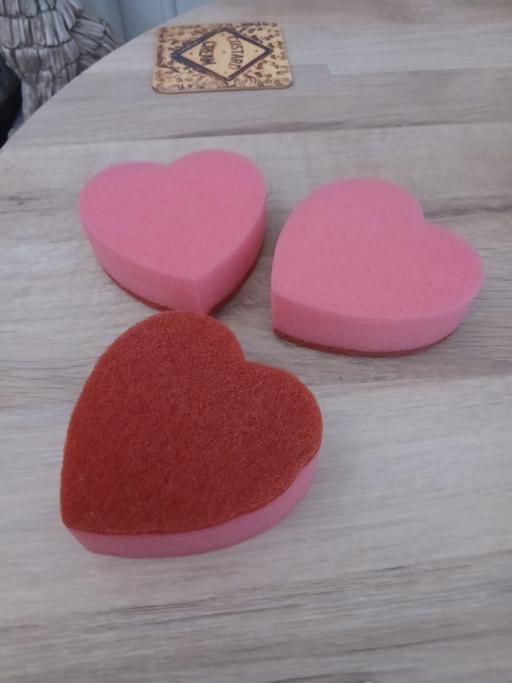  — Cleaning Sponges New