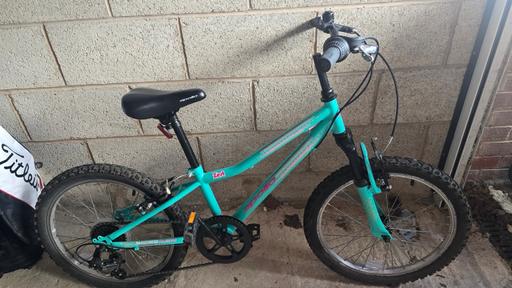  — Fantastic Girls Bike