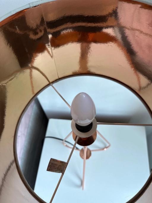 — Stylish grey and rose gold lamp