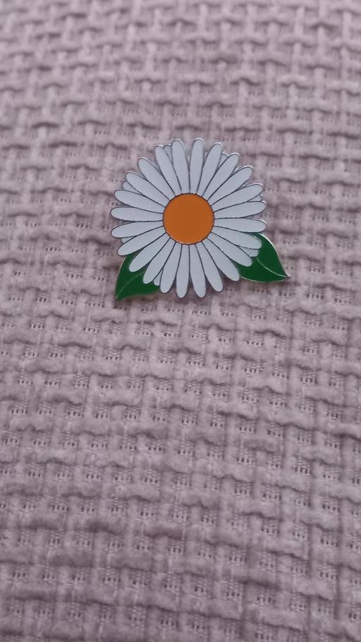  — pin brooch