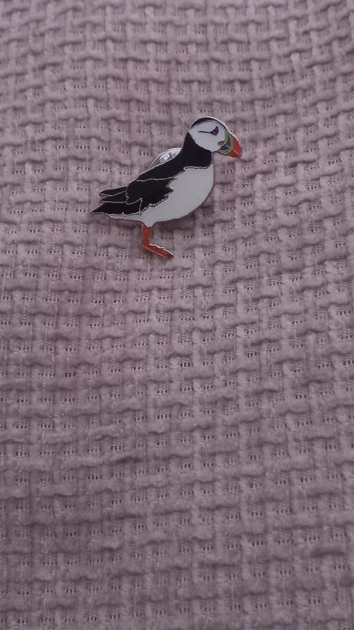  — pin brooch