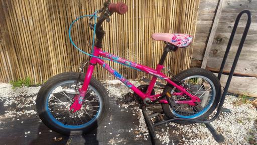  — Apollo Rocki 11" Frame 16" Wheel bike