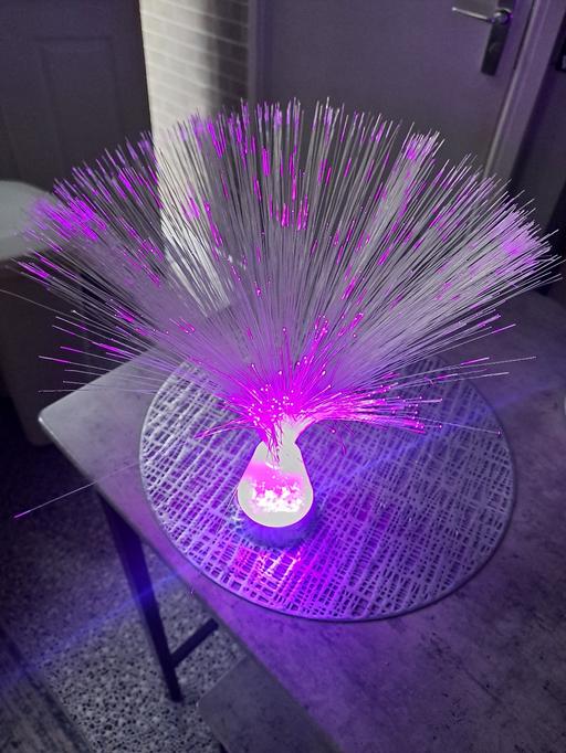  — fibre optic light