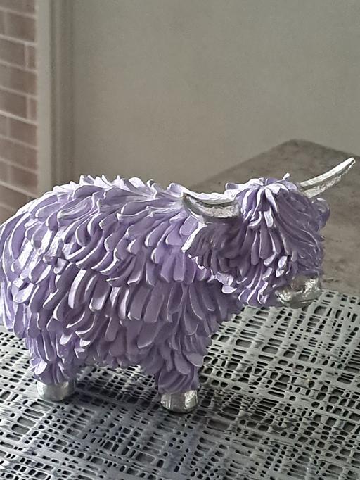  — next highland cow no offers