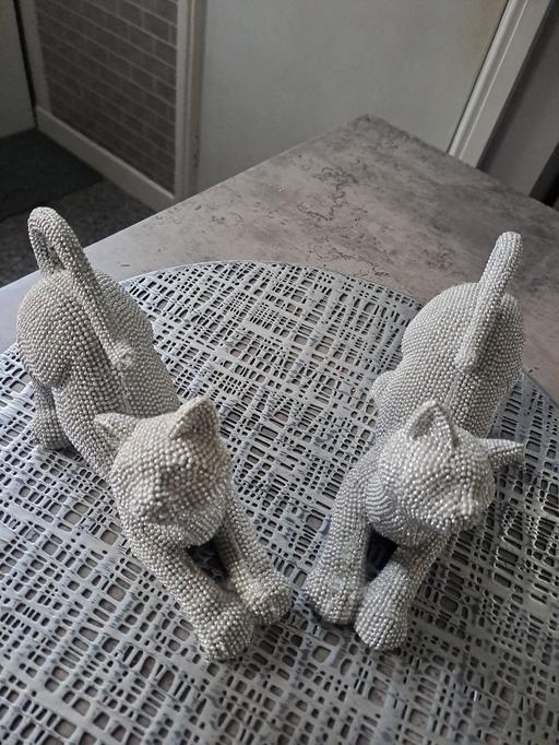  — 2x glizy cats no offers
