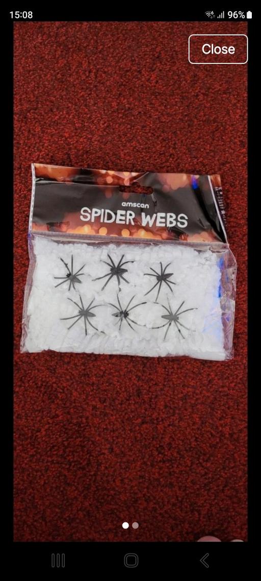  — New spider web and spiders