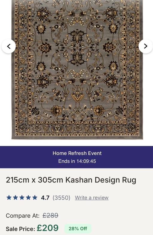  — Traditional Style Rug