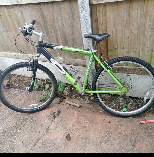  — Carerra bike