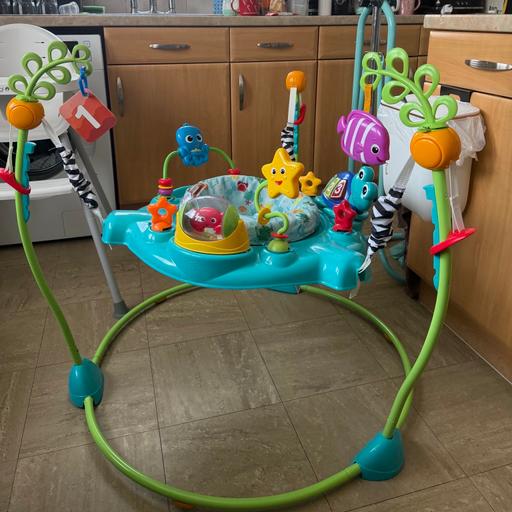 — Baby Einstein Bouncer