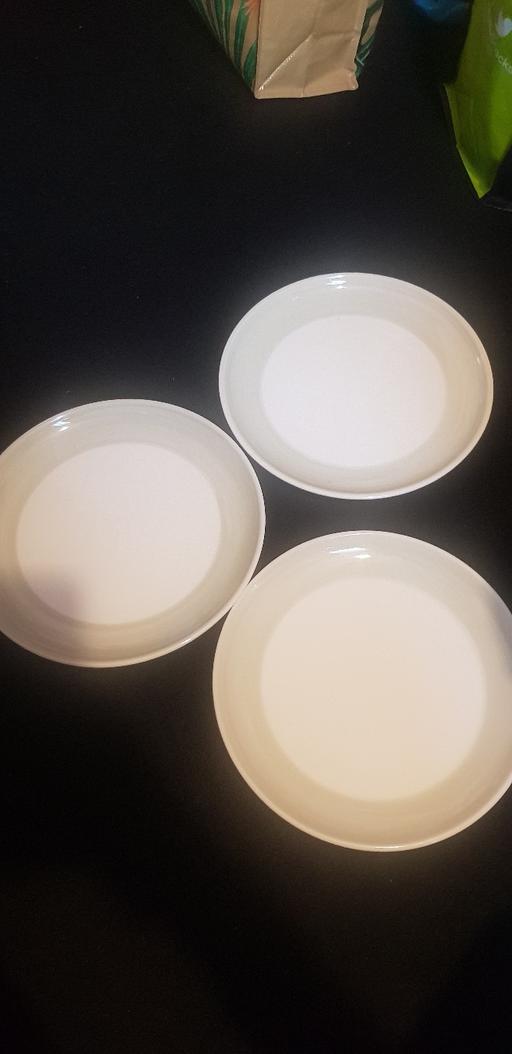  — 3 lrg dinner plates