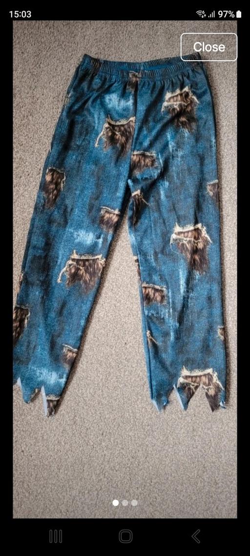  — Halloween fancy dress trousers