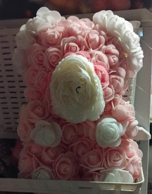  — Baby girl rose bear