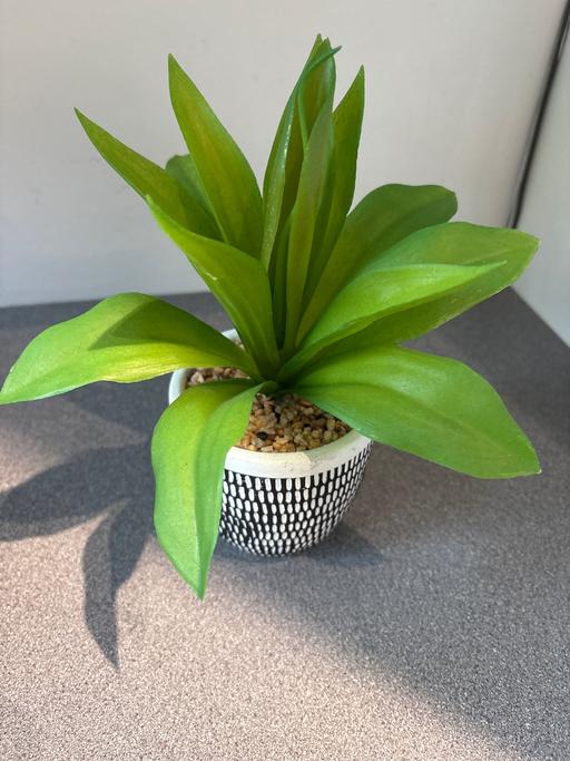  — Plant