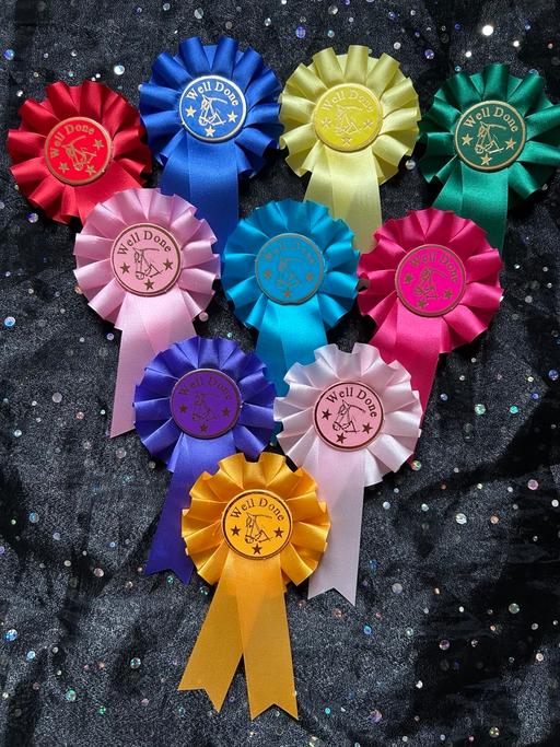  — 10 x Well Done Rosettes with Horse Motif