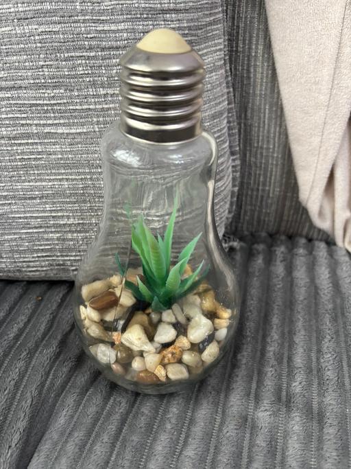  — Garden in glass light bulb