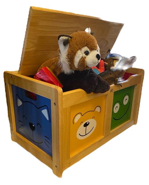  — Children’s Toy box