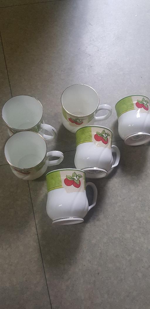  — 6 cups