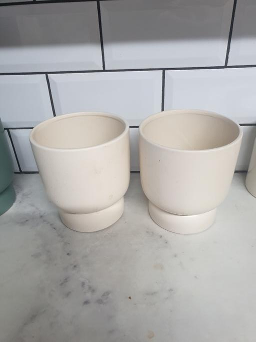  — 2 Cream ceramic plant pots
