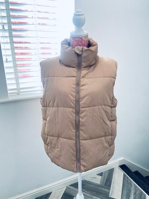  — (12) NEW LOOK GILET