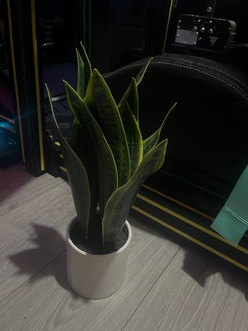  — Artificial plant