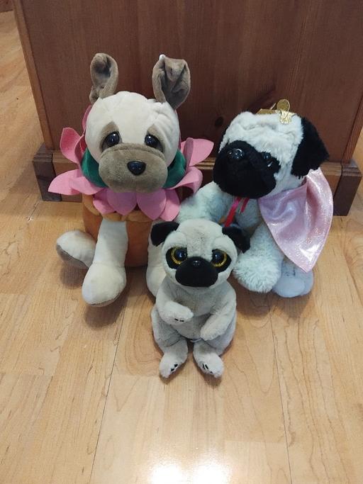  — 3 Pugs.