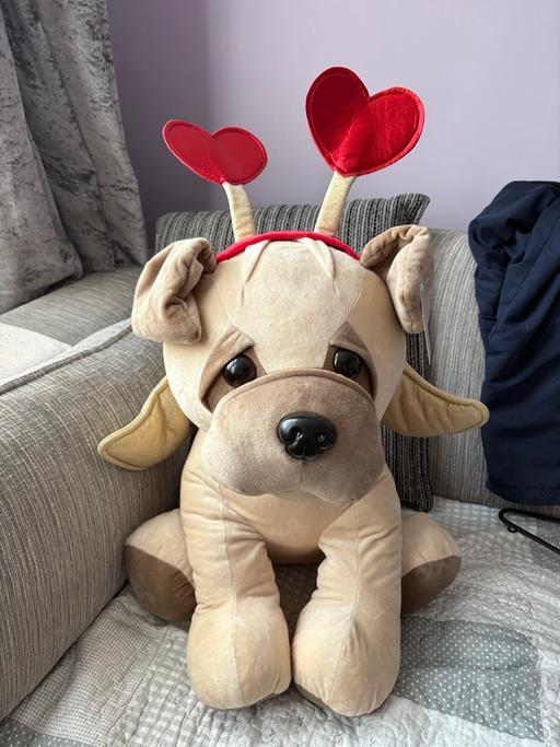  — Very large soft dog