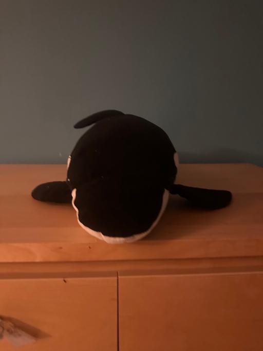  — Killer whale up for sale