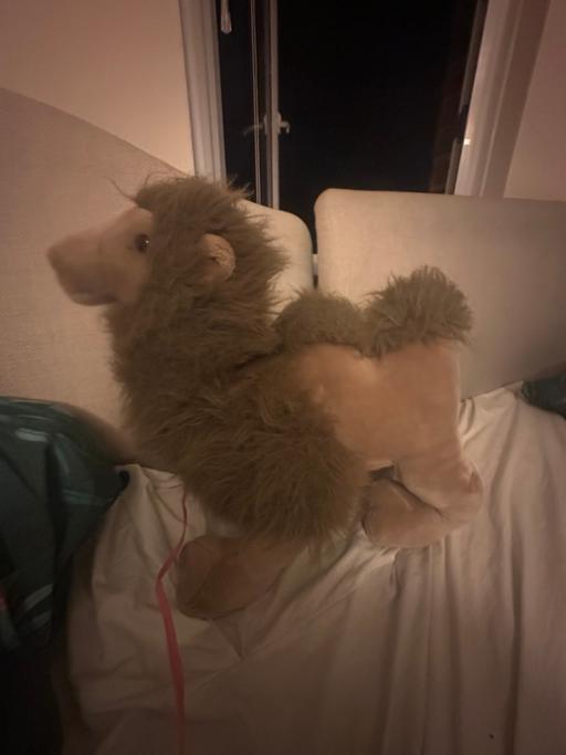  — Camel